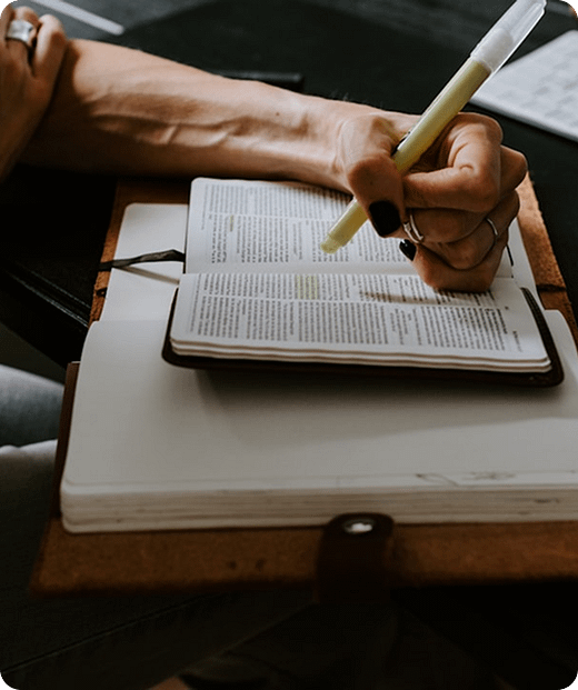 photo-1599249301068-393f39f24a5c 1 (1)